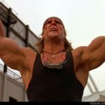 Read more about the article GORILLA DAD TRAINING